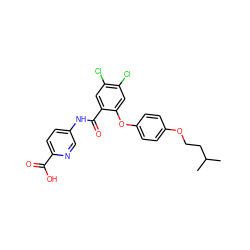 CC(C)CCOc1ccc(Oc2cc(Cl)c(Cl)cc2C(=O)Nc2ccc(C(=O)O)nc2)cc1 ZINC000143156895