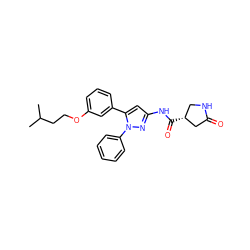 CC(C)CCOc1cccc(-c2cc(NC(=O)[C@@H]3CNC(=O)C3)nn2-c2ccccc2)c1 ZINC000169707233