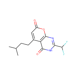 CC(C)CCc1cc(=O)oc2nc(C(F)F)[nH]c(=O)c12 ZINC000066066024