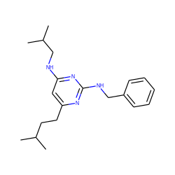 CC(C)CCc1cc(NCC(C)C)nc(NCc2ccccc2)n1 ZINC000040954567