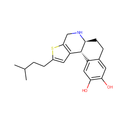 CC(C)CCc1cc2c(s1)CN[C@H]1CCc3cc(O)c(O)cc3[C@H]21 ZINC000013762032