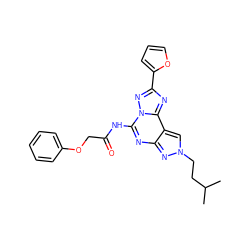 CC(C)CCn1cc2c(nc(NC(=O)COc3ccccc3)n3nc(-c4ccco4)nc23)n1 ZINC000013527383