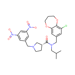 CC(C)CN(Cc1cc(Cl)c2c(c1)OCCCO2)C(=O)[C@@H]1CCN(Cc2cc([N+](=O)[O-])cc([N+](=O)[O-])c2)C1 ZINC000114100340