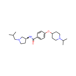 CC(C)CN1CC[C@H](NC(=O)c2ccc(OC3CCN(C(C)C)CC3)cc2)C1 ZINC000653765529