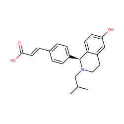 CC(C)CN1CCc2cc(O)ccc2[C@@H]1c1ccc(/C=C/C(=O)O)cc1 ZINC000653742679