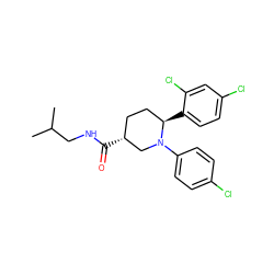 CC(C)CNC(=O)[C@@H]1CC[C@@H](c2ccc(Cl)cc2Cl)N(c2ccc(Cl)cc2)C1 ZINC000045336368