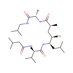 CC(C)CNC(=O)[C@H](C)NC(=O)[C@@H](C)C[C@@H](O)[C@@H](CC(C)C)NC(=O)[C@H](NC(=O)CC(C)C)C(C)C ZINC000026651379