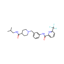 CC(C)CNC(=O)C1CCN(Cc2cccc(NC(=O)c3cccc(C(F)(F)F)n3)c2)CC1 ZINC000210638654