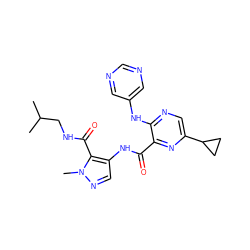 CC(C)CNC(=O)c1c(NC(=O)c2nc(C3CC3)cnc2Nc2cncnc2)cnn1C ZINC000169701789