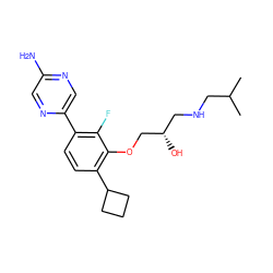 CC(C)CNC[C@H](O)COc1c(C2CCC2)ccc(-c2cnc(N)cn2)c1F ZINC000224563165