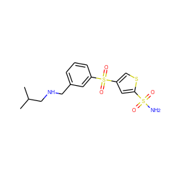 CC(C)CNCc1cccc(S(=O)(=O)c2csc(S(N)(=O)=O)c2)c1 ZINC000013727903