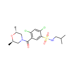 CC(C)CNS(=O)(=O)c1cc(C(=O)N2C[C@@H](C)O[C@H](C)C2)c(Cl)cc1Cl ZINC000002665053