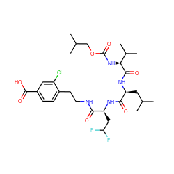 CC(C)COC(=O)N[C@H](C(=O)N[C@@H](CC(C)C)C(=O)N[C@@H](CC(F)F)C(=O)NCCc1ccc(C(=O)O)cc1Cl)C(C)C ZINC000026282513