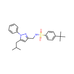 CC(C)Cc1cc(CNS(=O)(=O)c2ccc(C(C)(C)C)cc2)nn1-c1ccccc1 ZINC001772606102