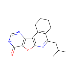 CC(C)Cc1nc2oc3c(=O)[nH]cnc3c2c2c1CCCC2 ZINC000002327140