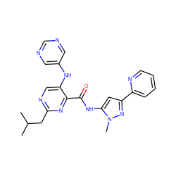 CC(C)Cc1ncc(Nc2cncnc2)c(C(=O)Nc2cc(-c3ccccn3)nn2C)n1 ZINC000096167430