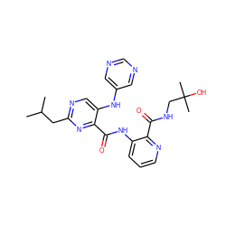 CC(C)Cc1ncc(Nc2cncnc2)c(C(=O)Nc2cccnc2C(=O)NCC(C)(C)O)n1 ZINC000169701939