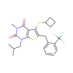 CC(C)Cn1c(=O)n(C)c(=O)c2c(SC3CCC3)c(Cc3ccccc3C(F)(F)F)sc21 ZINC000014977654