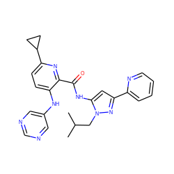 CC(C)Cn1nc(-c2ccccn2)cc1NC(=O)c1nc(C2CC2)ccc1Nc1cncnc1 ZINC000096167399