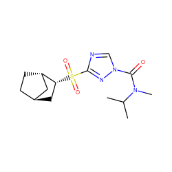 CC(C)N(C)C(=O)n1cnc(S(=O)(=O)[C@@H]2C[C@H]3CC[C@H]2C3)n1 ZINC000299809141