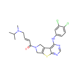 CC(C)N(C)C/C=C/C(=O)N1Cc2sc3ncnc(Nc4ccc(Cl)c(Cl)c4)c3c2C1 ZINC000096172260