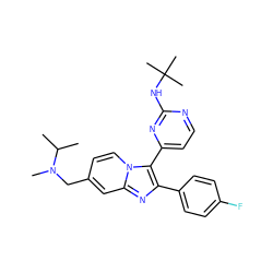 CC(C)N(C)Cc1ccn2c(-c3ccnc(NC(C)(C)C)n3)c(-c3ccc(F)cc3)nc2c1 ZINC000028822173