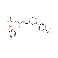 CC(C)N(CC(=O)NC[C@@H]1CN(c2ccc(C(F)(F)F)cc2)CCO1)S(=O)(=O)c1ccc(F)cc1 ZINC000209397301