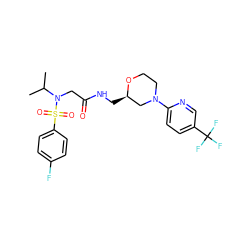 CC(C)N(CC(=O)NC[C@@H]1CN(c2ccc(C(F)(F)F)cn2)CCO1)S(=O)(=O)c1ccc(F)cc1 ZINC000209403058