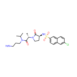 CC(C)N(CCCN)C(=O)[C@H](C)N1CC[C@H](NS(=O)(=O)c2ccc3cc(Cl)ccc3c2)C1=O ZINC000014950051