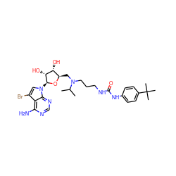 CC(C)N(CCCNC(=O)Nc1ccc(C(C)(C)C)cc1)C[C@H]1O[C@@H](n2cc(Br)c3c(N)ncnc32)[C@H](O)[C@@H]1O ZINC000097956664