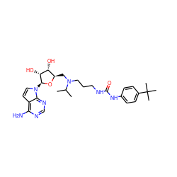 CC(C)N(CCCNC(=O)Nc1ccc(C(C)(C)C)cc1)C[C@H]1O[C@@H](n2ccc3c(N)ncnc32)[C@H](O)[C@@H]1O ZINC000089469833