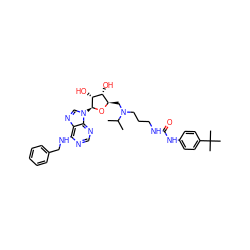 CC(C)N(CCCNC(=O)Nc1ccc(C(C)(C)C)cc1)C[C@H]1O[C@@H](n2cnc3c(NCc4ccccc4)ncnc32)[C@H](O)[C@@H]1O ZINC000095553362