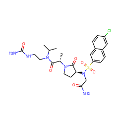 CC(C)N(CCNC(N)=O)C(=O)[C@H](C)N1CC[C@H](N(CC(N)=O)S(=O)(=O)c2ccc3cc(Cl)ccc3c2)C1=O ZINC000014950070