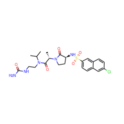 CC(C)N(CCNC(N)=O)C(=O)[C@H](C)N1CC[C@H](NS(=O)(=O)c2ccc3cc(Cl)ccc3c2)C1=O ZINC000014950018