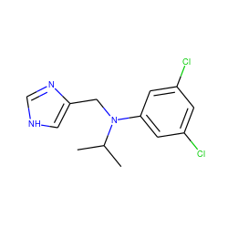 CC(C)N(Cc1c[nH]cn1)c1cc(Cl)cc(Cl)c1 ZINC000043194980