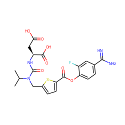 CC(C)N(Cc1ccc(C(=O)Oc2ccc(C(=N)N)cc2F)s1)C(=O)N[C@@H](CC(=O)O)C(=O)O ZINC000205924738