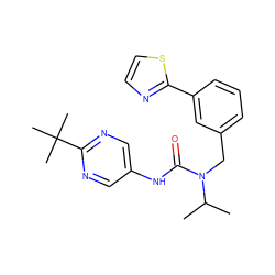 CC(C)N(Cc1cccc(-c2nccs2)c1)C(=O)Nc1cnc(C(C)(C)C)nc1 ZINC000225111974