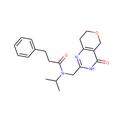 CC(C)N(Cc1nc2c(c(=O)[nH]1)COCC2)C(=O)CCc1ccccc1 ZINC000142994176