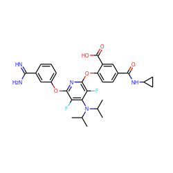 CC(C)N(c1c(F)c(Oc2cccc(C(=N)N)c2)nc(Oc2ccc(C(=O)NC3CC3)cc2C(=O)O)c1F)C(C)C ZINC000028570612