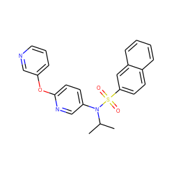 CC(C)N(c1ccc(Oc2cccnc2)nc1)S(=O)(=O)c1ccc2ccccc2c1 ZINC000058576050