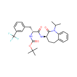 CC(C)N1C(=O)[C@H](NC(=O)[C@@H](Cc2cccc(C(F)(F)F)c2)NC(=O)OC(C)(C)C)CCc2ccccc21 ZINC000028952723