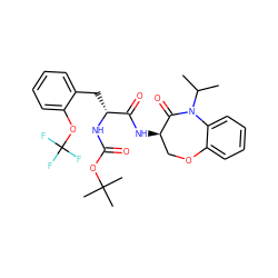 CC(C)N1C(=O)[C@H](NC(=O)[C@@H](Cc2ccccc2OC(F)(F)F)NC(=O)OC(C)(C)C)COc2ccccc21 ZINC000028958081