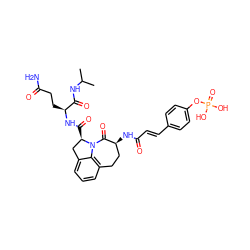 CC(C)NC(=O)[C@H](CCC(N)=O)NC(=O)[C@@H]1Cc2cccc3c2N1C(=O)[C@@H](NC(=O)/C=C/c1ccc(OP(=O)(O)O)cc1)CC3 ZINC000049833063