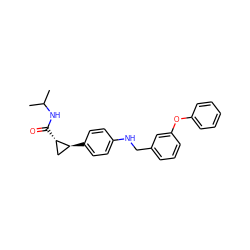 CC(C)NC(=O)[C@H]1C[C@@H]1c1ccc(NCc2cccc(Oc3ccccc3)c2)cc1 ZINC000028572275