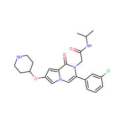 CC(C)NC(=O)Cn1c(-c2cccc(Cl)c2)cn2cc(OC3CCNCC3)cc2c1=O ZINC000058575277