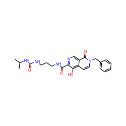 CC(C)NC(=O)NCCCNC(=O)c1ncc2c(=O)n(Cc3ccccc3)ccc2c1O ZINC000169710987