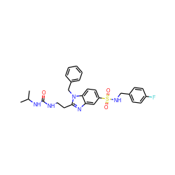 CC(C)NC(=O)NCCc1nc2cc(S(=O)(=O)NCc3ccc(F)cc3)ccc2n1Cc1ccccc1 ZINC000028353676