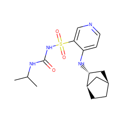 CC(C)NC(=O)NS(=O)(=O)c1cnccc1N[C@@H]1C[C@H]2CC[C@@H]1C2 ZINC000019815469