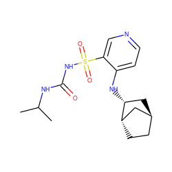 CC(C)NC(=O)NS(=O)(=O)c1cnccc1N[C@@H]1C[C@H]2CC[C@H]1C2 ZINC000103119861