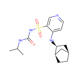 CC(C)NC(=O)NS(=O)(=O)c1cnccc1N[C@H]1C[C@H]2CC[C@@H]1C2 ZINC000019815472